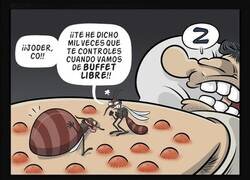 Enlace a Vuelven los mosquitos