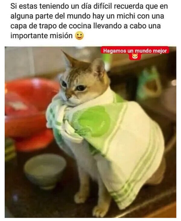 Meme_otros - No lo olvides