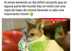 Enlace a No lo olvides