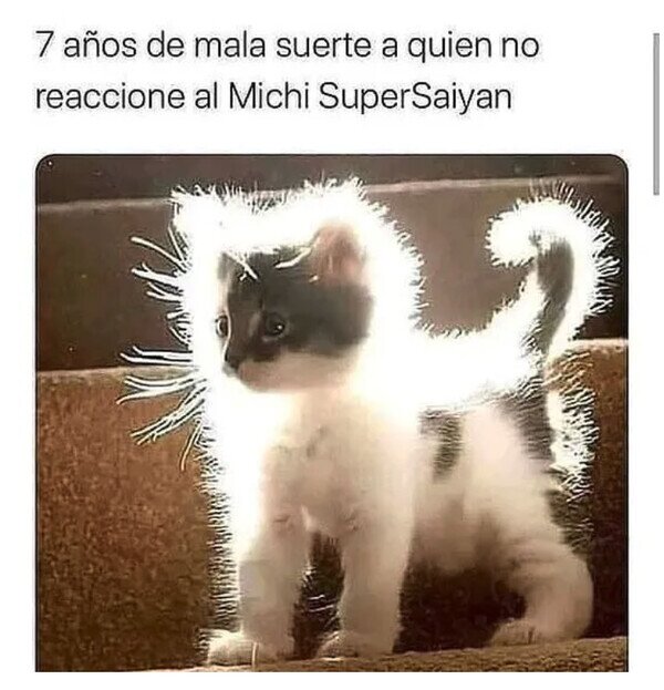 gato,luz,super saiyan