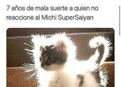 Enlace a No puedes no reaccionar