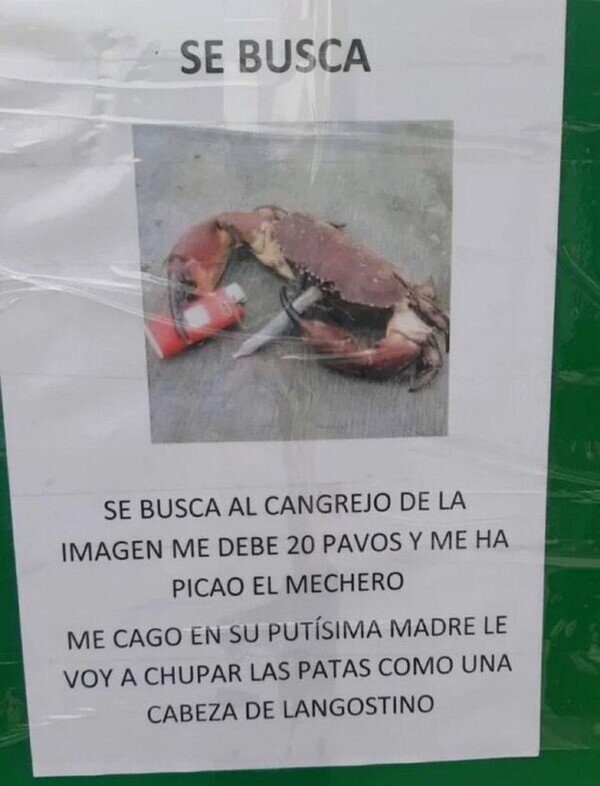 Meme_otros - Cuidado, es peligroso