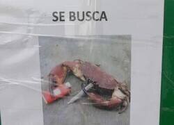 Enlace a Cuidado, es peligroso