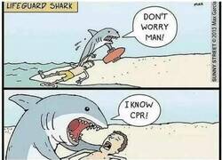 Enlace a Él solo quería ayudar...