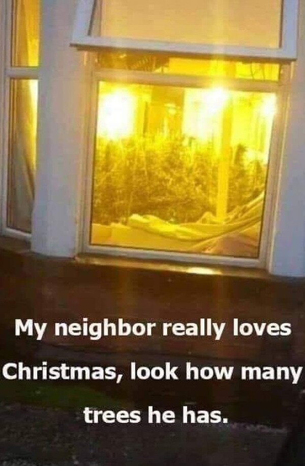 Meme_otros - Un tipo muy navideño