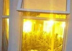 Enlace a Un tipo muy navideño