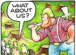 Enlace a ¿Qué pasa con nosotros?