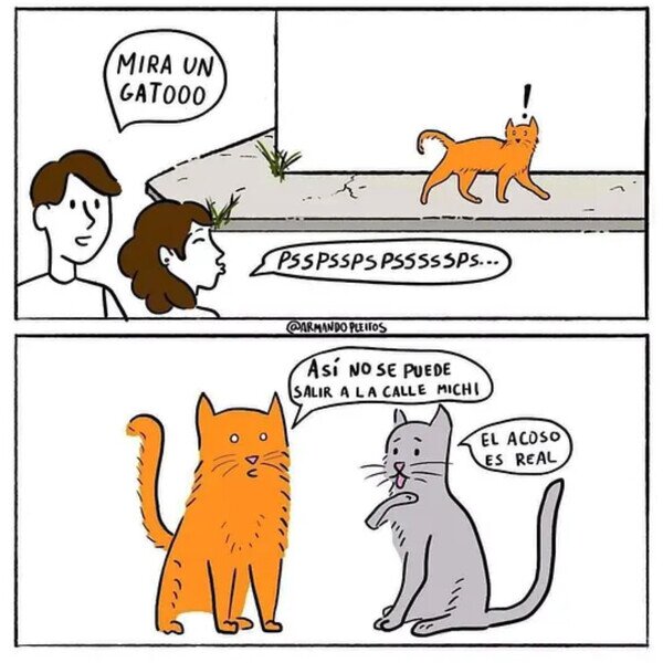 Otros - De este tipo de acoso no se habla en los medios...