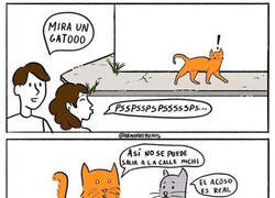 Enlace a De este tipo de acoso no se habla en los medios...