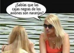 Enlace a Diálogo entre rubias