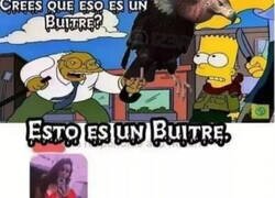 Enlace a El Buitre Máster