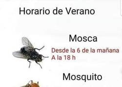 Enlace a Se cambian el turno