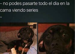 Enlace a ¿Quién lo dice?