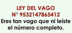 Enlace a La ley del vago