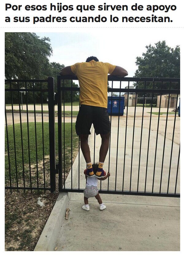 Meme_otros - La función de un taburete