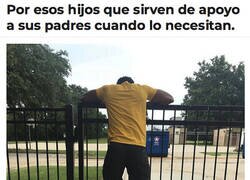 Enlace a La función de un taburete