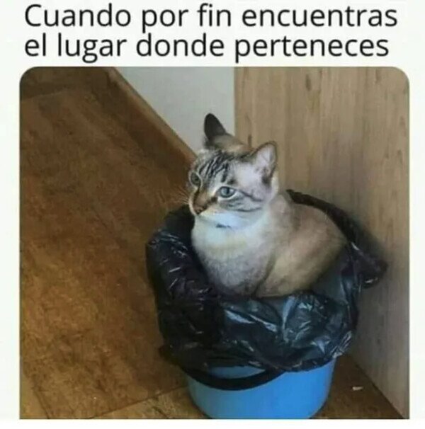 Otros - Uno siempre vuelve a donde pertenece