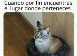 Enlace a Uno siempre vuelve a donde pertenece