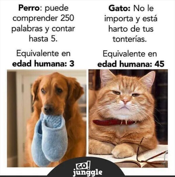 Meme_otros - Podrían ser como nosotros