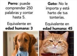 Enlace a Podrían ser como nosotros