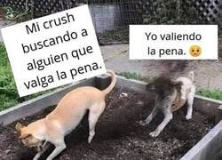 Enlace a O al menos la intento valer