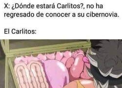 Enlace a Carlitos ahora va por piezas