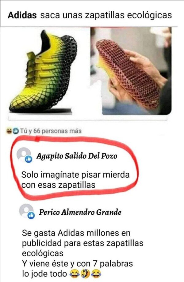 Meme_otros - Las zapatillas ecológicas de Adidas