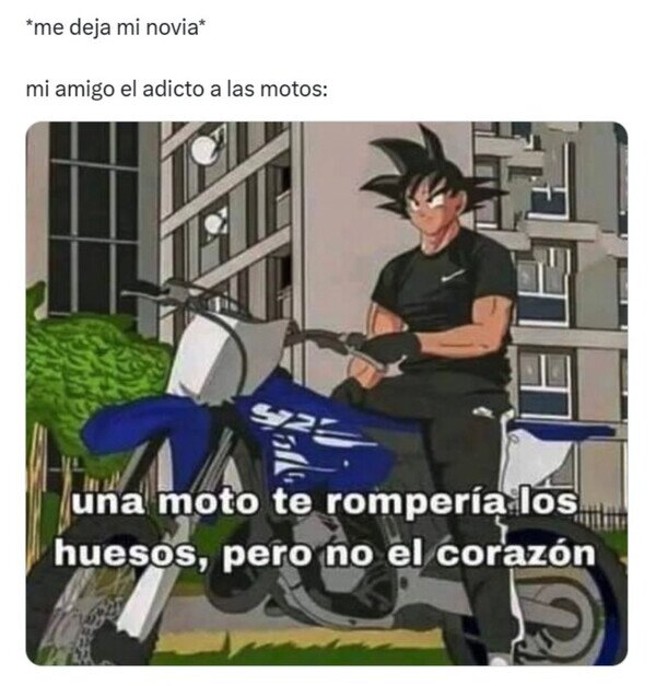 Otros - El pesao de las motos