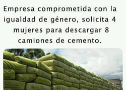 Enlace a ¿Alguna voluntaria?