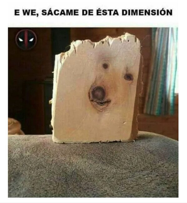 Meme_otros - ¿Alguien sabe 'desmaderizar' un perro?