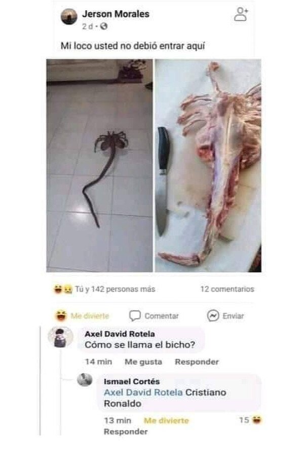 Meme_otros - ¿Qué es esa cosa?