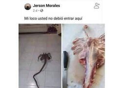 Enlace a ¿Qué es esa cosa?