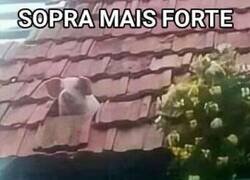 Enlace a Lo que el cerdo le dijo al lobo