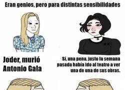 Enlace a Sensibilidades distintas