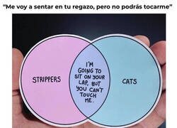 Enlace a Punto en común