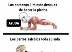 Enlace a No te quejes tanto