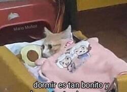 Enlace a Mi pensamiento todas las mañanas