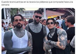 Enlace a Se están oscureciendo