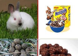 Enlace a Bolitas de Nesquik