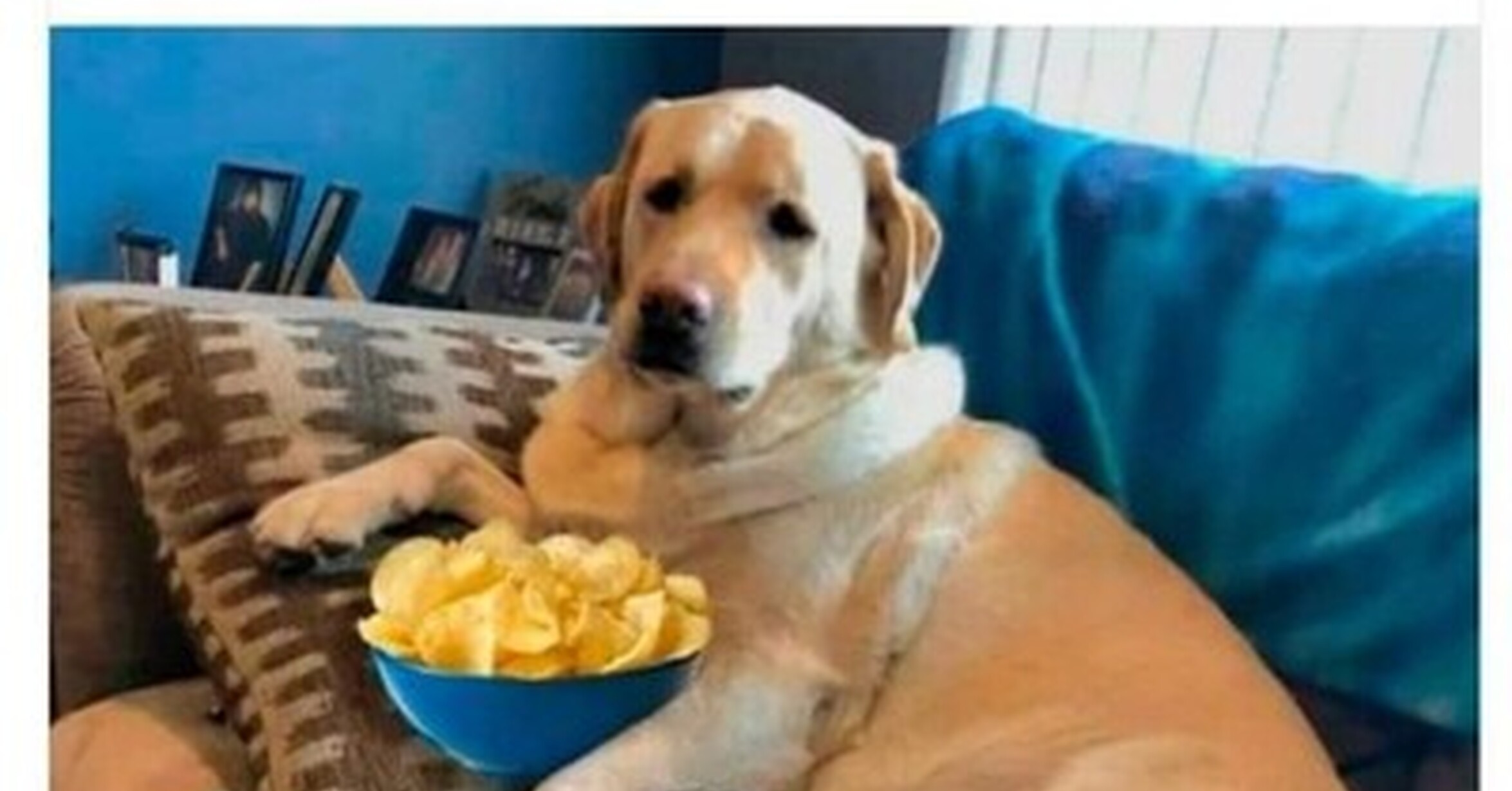 Cuánto cabrón / Él no permite que suba yo