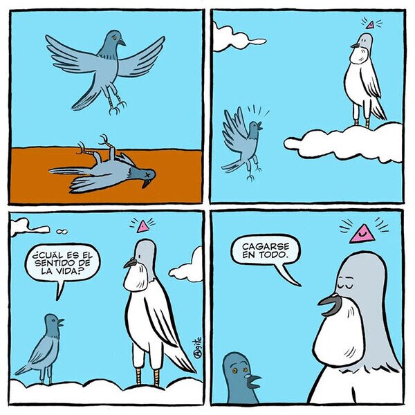 Otros - El sentido de la vida de las palomas