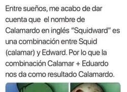 Enlace a Calamardo, el origen