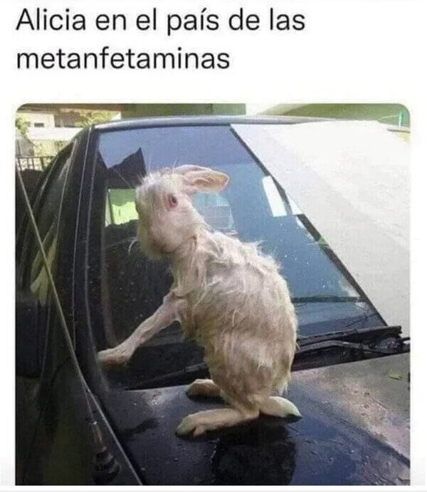 Meme_otros - En un mundo de alucinógenos