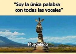 Enlace a Pensaba que era la única