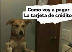 Enlace a Preguntas que me hacía de niño