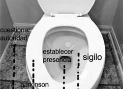 Enlace a ¿Cómo orinas tú?