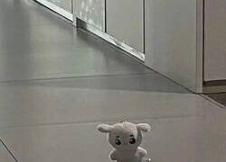 Enlace a Que quede claro