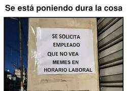 Enlace a Cada vez más exigentes