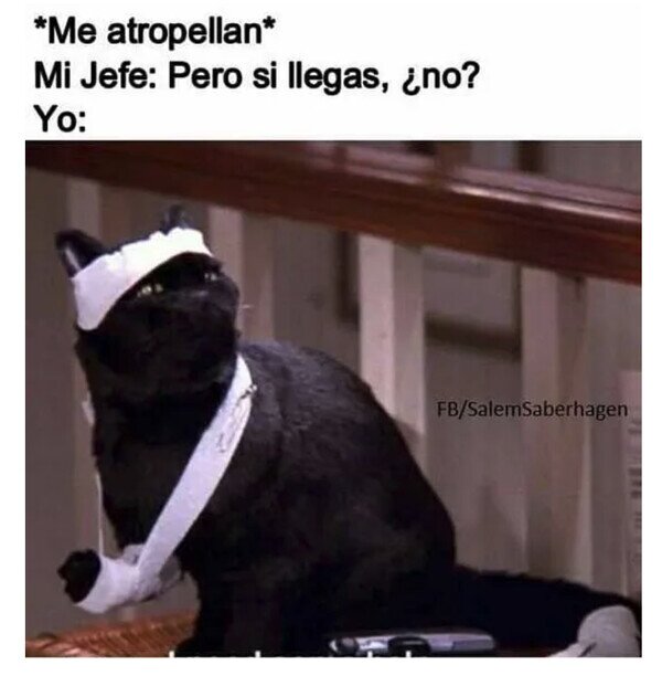 Meme_otros - Sin corazón ninguno