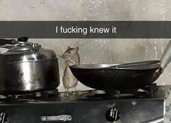 Enlace a El Live Action de Ratatouille ya está en marcha